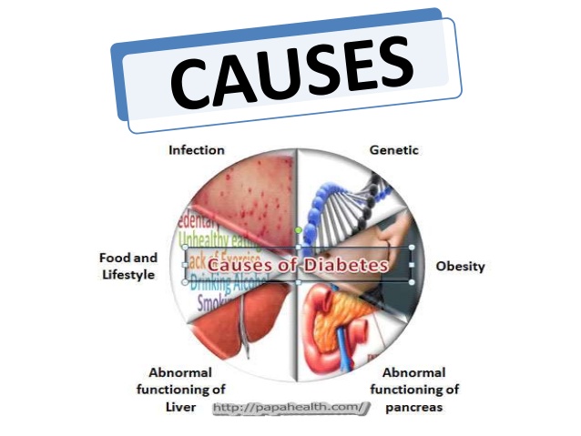 the big diabetes lie com how to cure diabetes