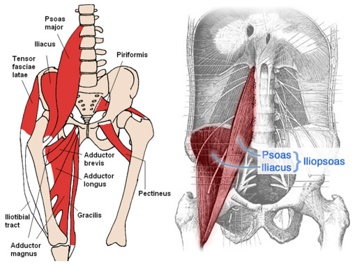 Unlock Your Hip Flexors