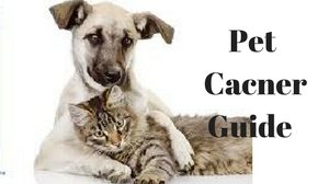 Pet Cancer Guide