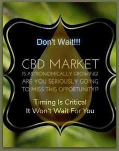 CBD business opportunities