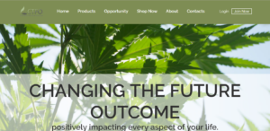 CTFO-replicated-website