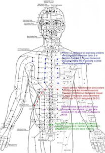 Meridian in the human body