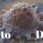 ketogenic diet kills the cancer cells