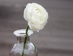 flower for grieving