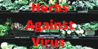 herbs for coronavirus or covid-19