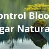 Understanding Probiotics and Weight Management